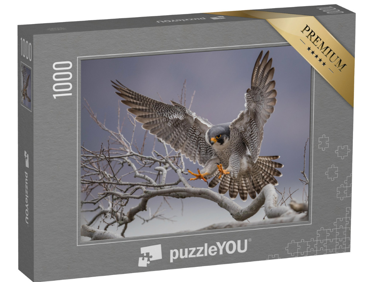 Puzzle 1000 pezzi „Falco pellegrino in atterraggio su un ramo“