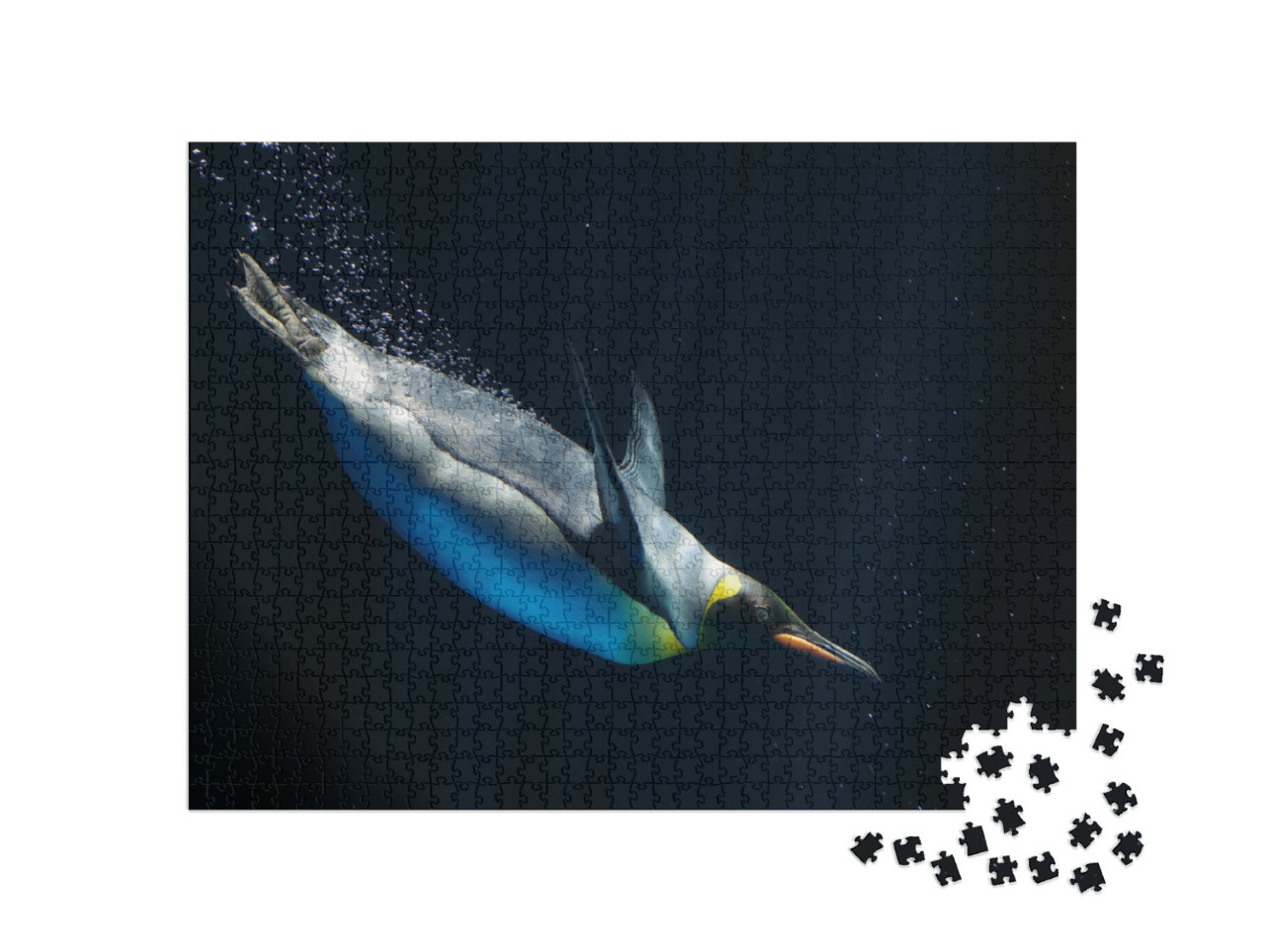 Puzzle 1000 pezzi „Studio di un pinguino imperatore in immersione“