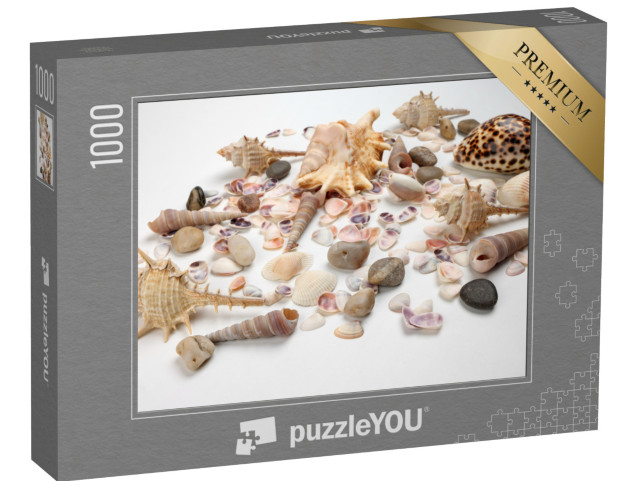 Puzzle 1000 pezzi „Conchiglie Triton“