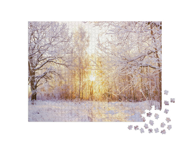 Puzzle 1000 pezzi „Paesaggio invernale innevato nella foresta mentre il sole tramonta“