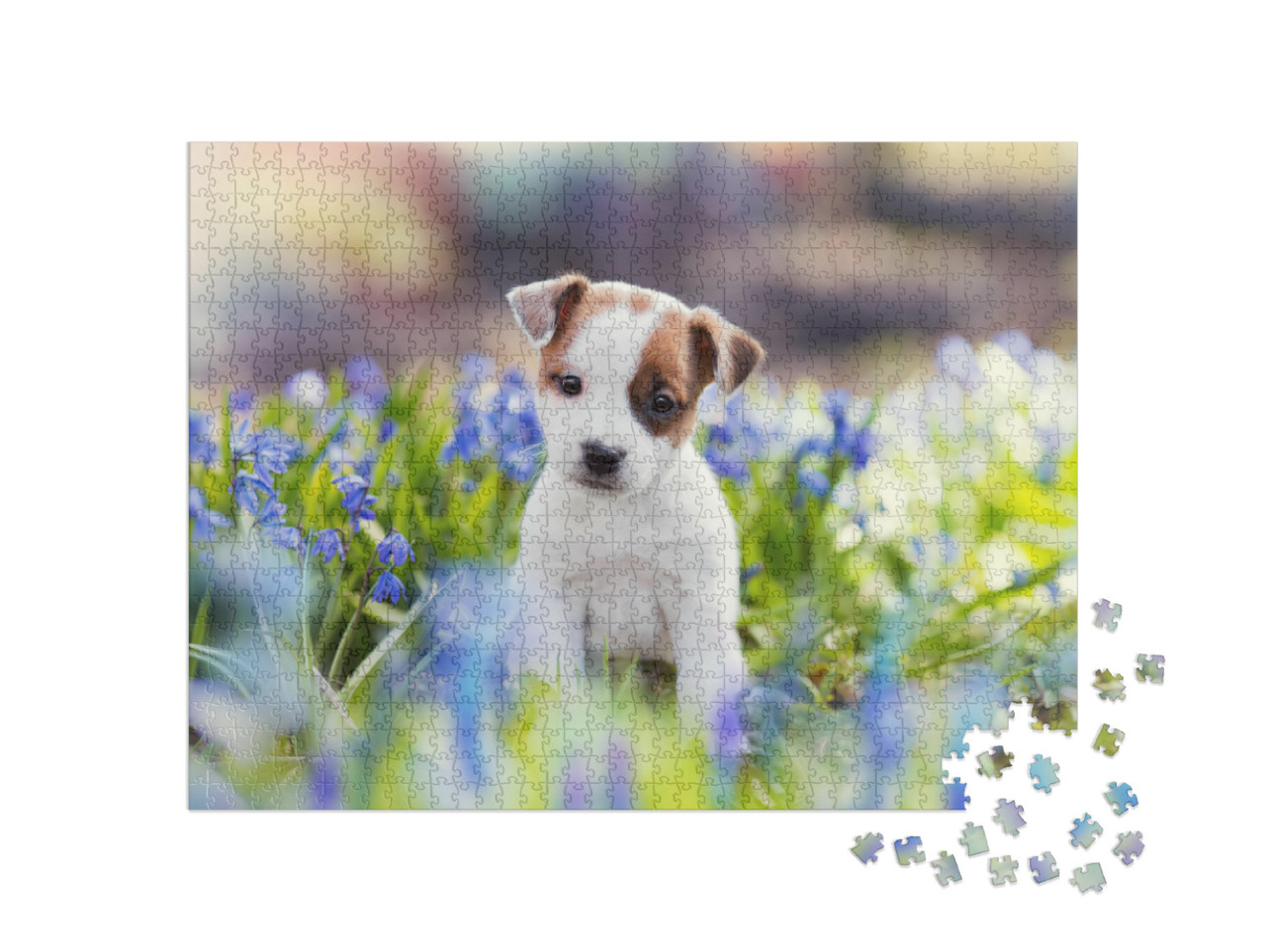 Puzzle 1000 pezzi „Cucciolo di Jack Russell terrier bianco in estate“