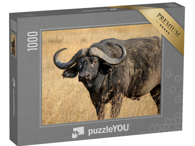 Puzzle 1000 pezzi „Bufalo africano o bufalo del Capo, uno dei Big Five“