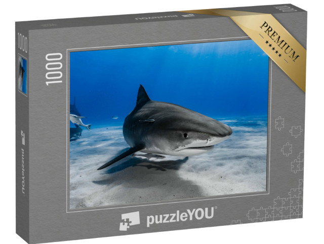 Puzzle 1000 pezzi „Lo squalo tigre nuota sulla barriera corallina“