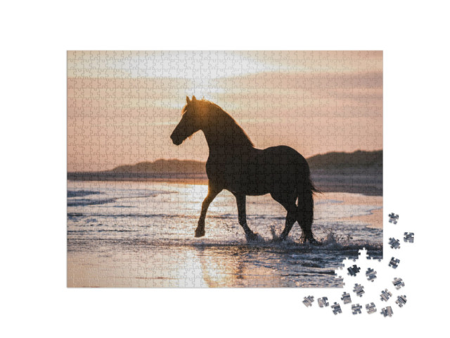 Puzzle 1000 pezzi „Il cavallo nero trotta libero sulla spiaggia nella luce della sera“