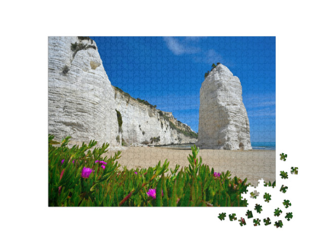 Puzzle 1000 pezzi „Veduta del Pizzomunno a Vieste, in Italia, con fiori in primo piano e il mare sullo sfondo“