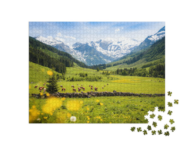 Puzzle 1000 pezzi „Paesaggio rurale alpino con mucche, Parco Nazionale degli Alti Tauri“