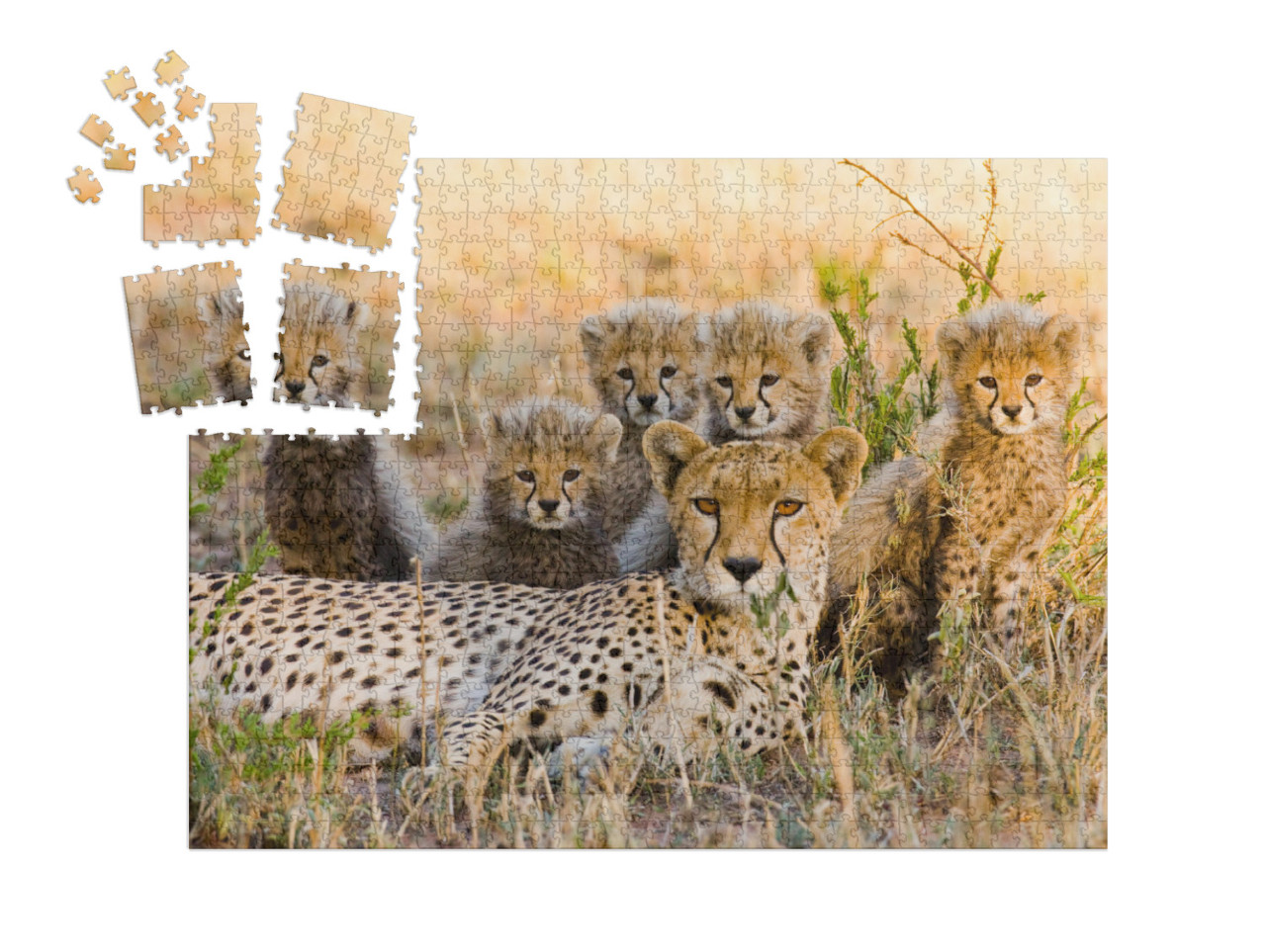 SMART SORTED® | Puzzle 1000 pezzi „Madre ghepardo e i suoi cuccioli nella savana, Kenya“