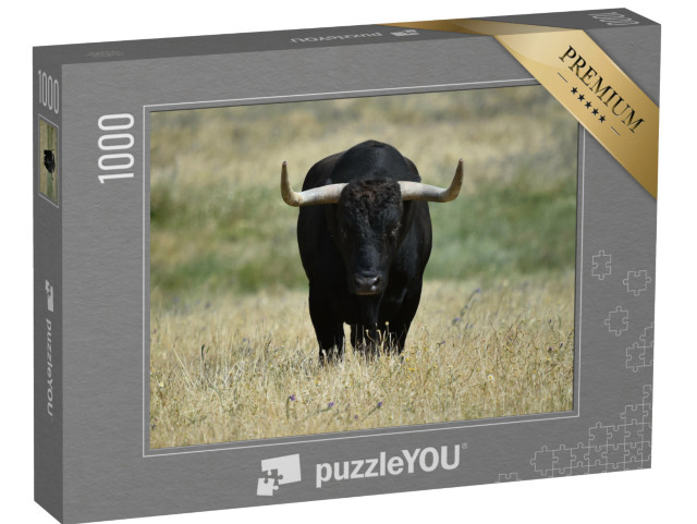 Puzzle 1000 pezzi „Un toro nero con grandi corna sul campo“