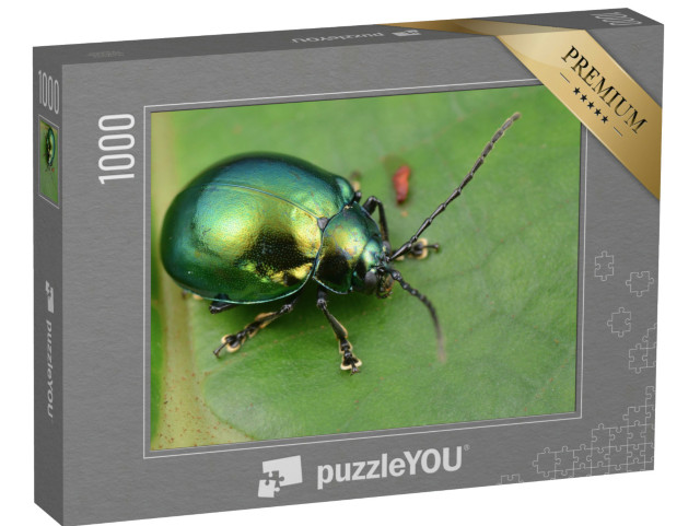 Puzzle 1000 pezzi „Fotografia macro di uno scarabeo fogliare verde lucido“