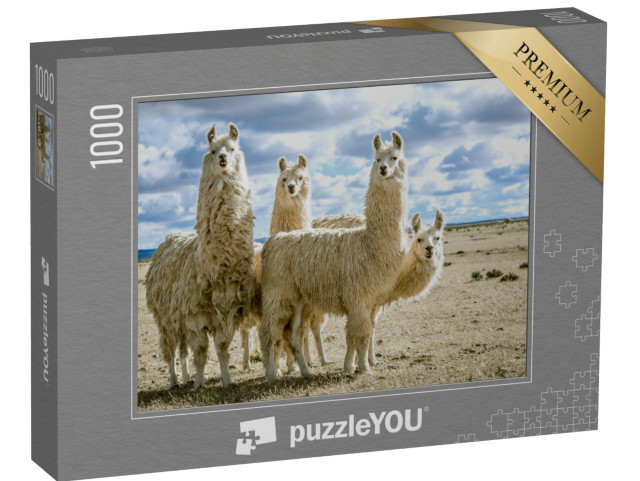 Puzzle 1000 pezzi „Gruppo di lama nel loro habitat naturale“