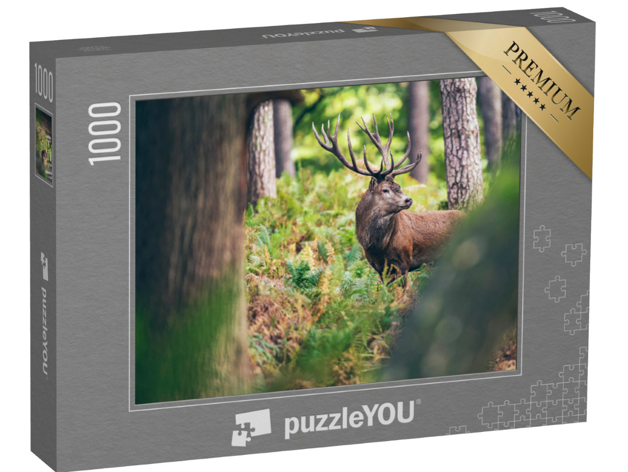 Puzzle 1000 pezzi „Cervo rosso tra le felci nella foresta autunnale“