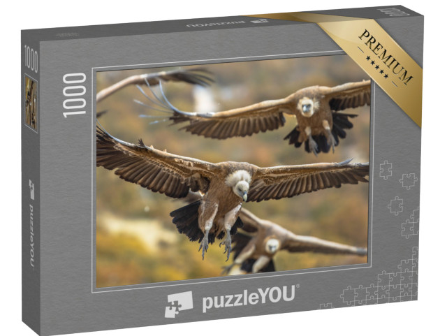 Puzzle 1000 pezzi „Grifoni in volo nei Pirenei spagnoli“