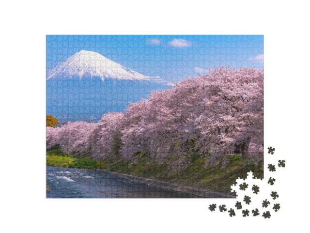 Puzzle 1000 pezzi „Fiori di ciliegio sul Monte Fuji, Giappone“