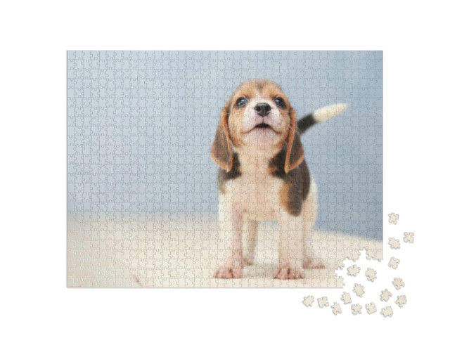 Puzzle 1000 pezzi „Carino il cucciolo di beagle“