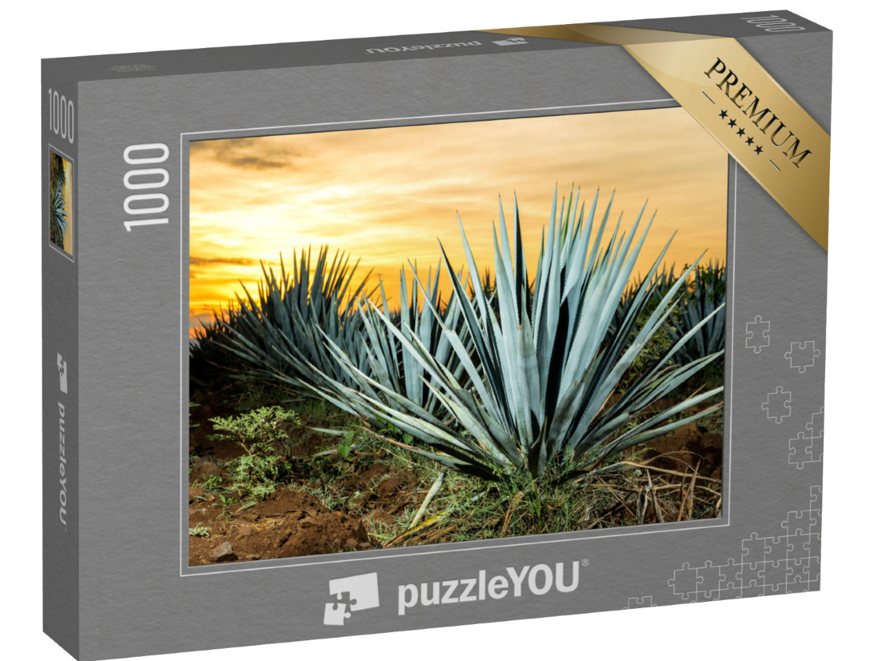 Puzzle 1000 pezzi „Piantagione di tequila, Guadalajara, Messico“