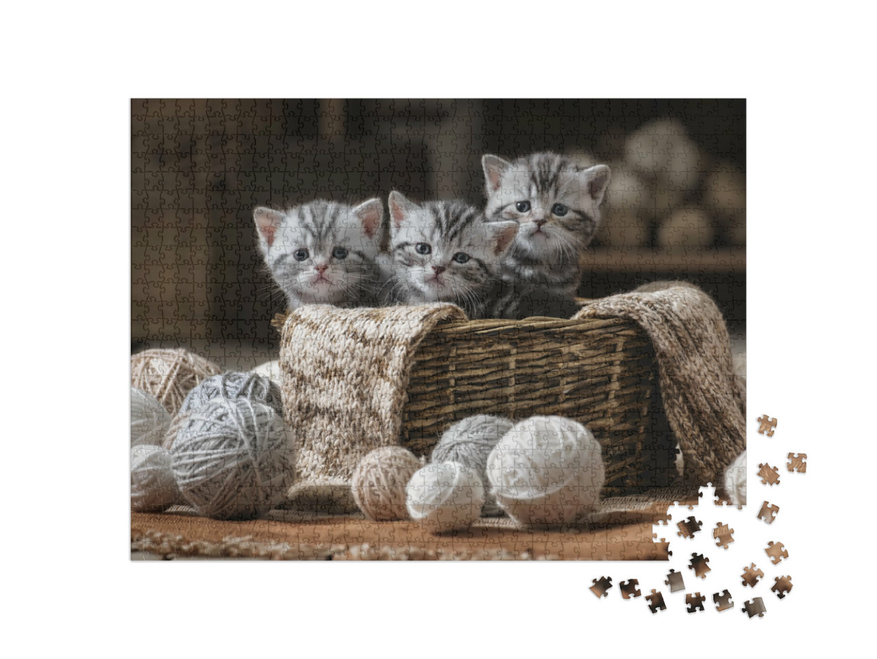 Puzzle 1000 pezzi „Gruppo di piccoli gattini a strisce con gomitoli di lana“