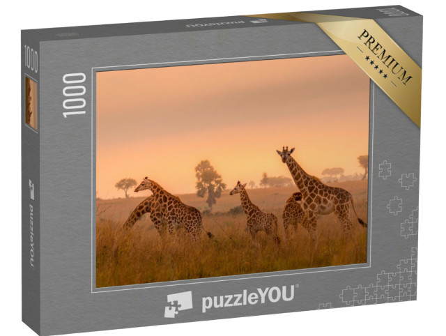 Puzzle 1000 pezzi „Giraffe Rothschild all'alba, Parco Nazionale di Murchison Falls, Uganda“