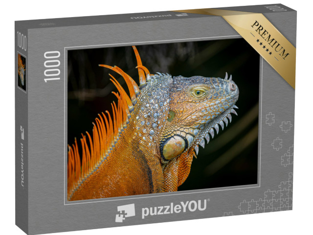 Puzzle 1000 pezzi „Morph di colore arancione di un'iguana verde adulta“