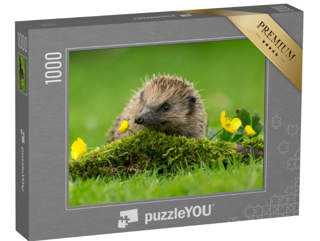 Puzzle 1000 pezzi „Un piccolo riccio su una collina di muschio verde“