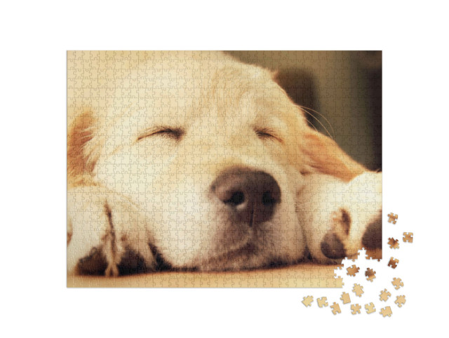 Puzzle 1000 pezzi „Cucciolo di Golden Retriever che fa un pisolino“