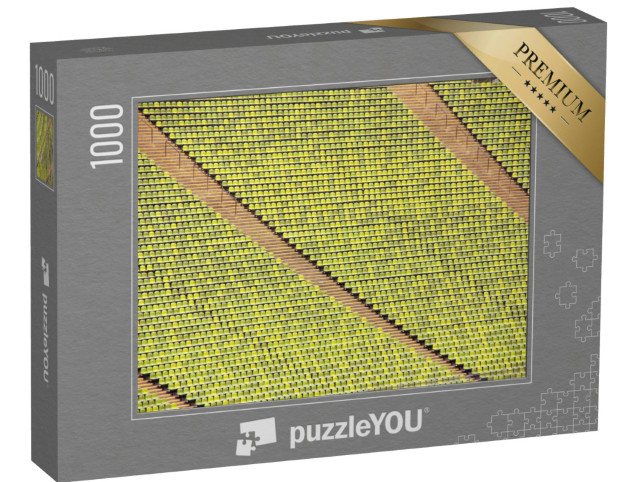 Puzzle 1000 pezzi „File di sedili in uno stadio“