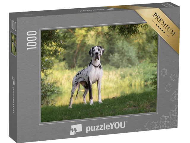 Puzzle 1000 pezzi „Bellissimo paesaggio con l'alano“
