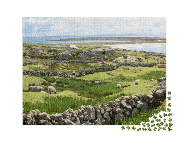 Puzzle 2000 pezzi „Muri di pietra irlandesi sulla costa“
