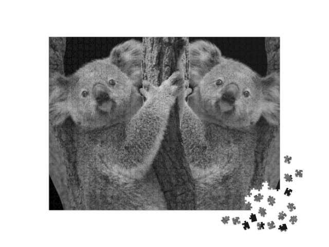 Puzzle 1000 pezzi „Due simpatici koala su un albero“