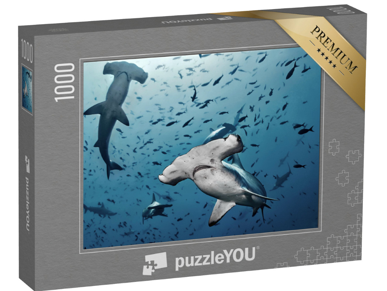 Puzzle 1000 pezzi „Squali martello a caccia, Isola Cocos, Costa Rica“