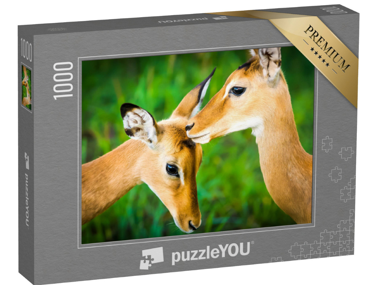 Puzzle 1000 pezzi „Giovane antilope impala“