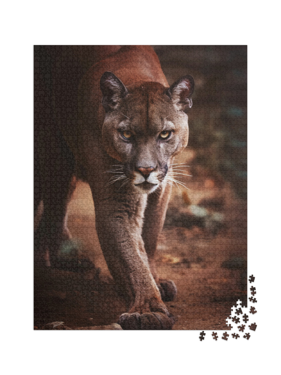 Puzzle 2000 pezzi „Un puma si avvicina di soppiatto“