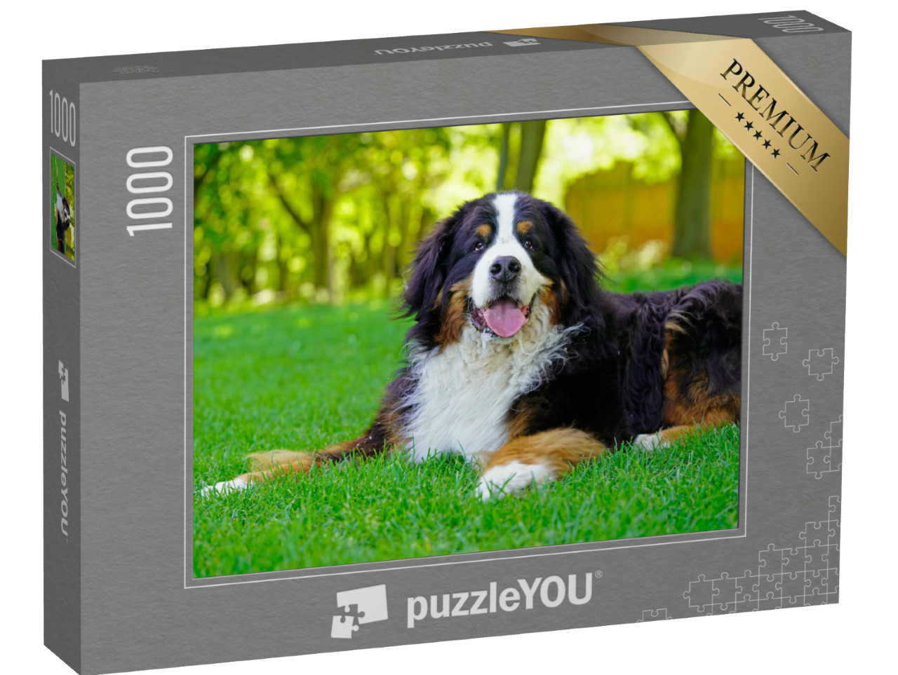 Puzzle 1000 pezzi „Cane da montagna bernese di grossa taglia sul prato“
