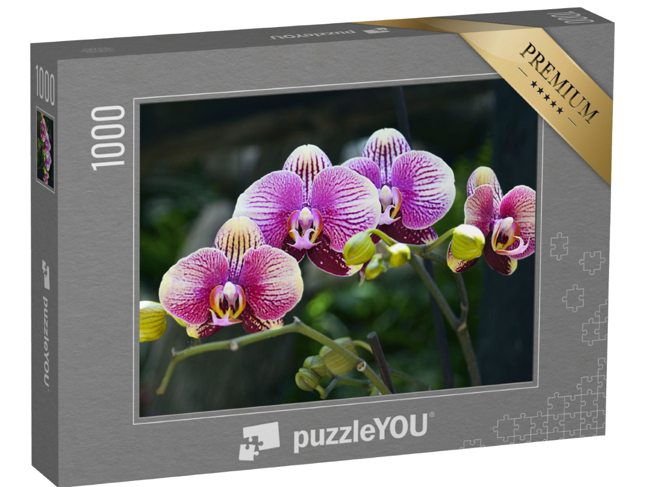Puzzle 1000 pezzi „Le orchidee fioriscono nel giardino tropicale“
