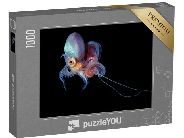 Puzzle 1000 pezzi „Foto subacquea di un polpo bucato“