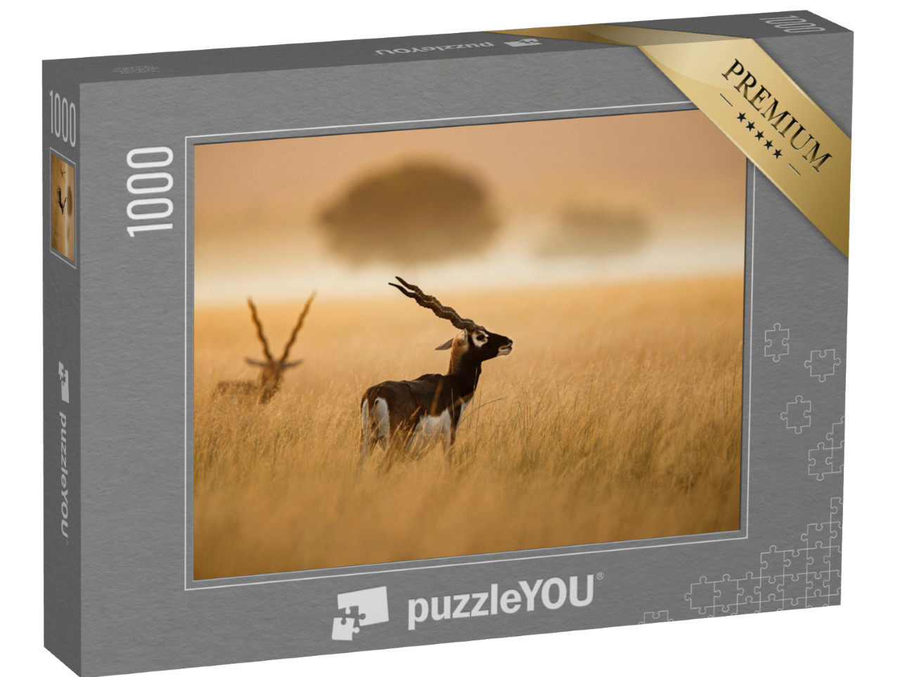 Puzzle 1000 pezzi „Un capriolo indiano di Tal Chappar Rajashthan“