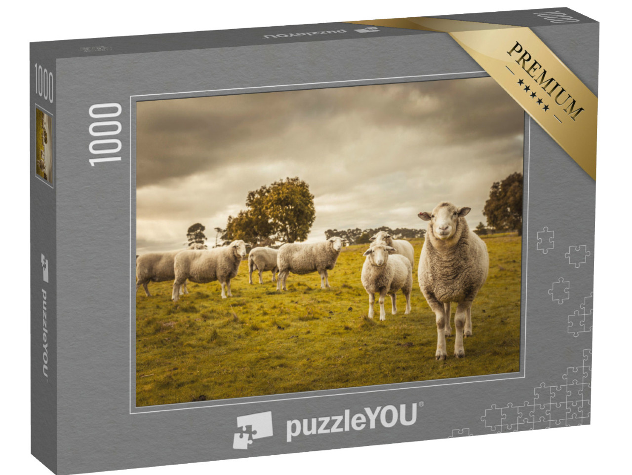 Puzzle 1000 pezzi „Pecore al pascolo“