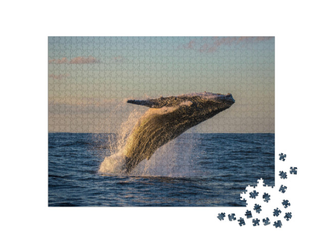 Puzzle 1000 pezzi „Salto della megattera al crepuscolo“