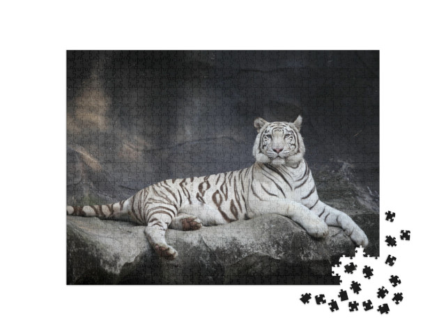 Puzzle 1000 pezzi „Tigre bianca“