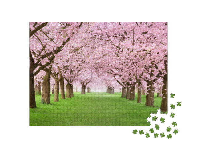 Puzzle 1000 pezzi „Giardino ornamentale con ciliegi maestosamente in fiore su un fresco prato verde“