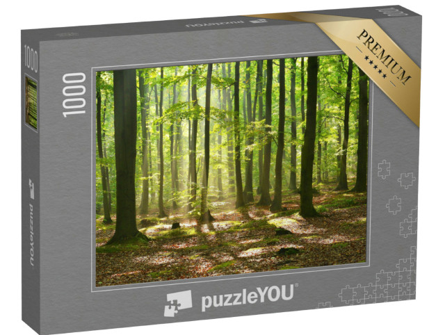 Puzzle 1000 pezzi „Crepuscolo d'autunno in una mistica foresta incantata“