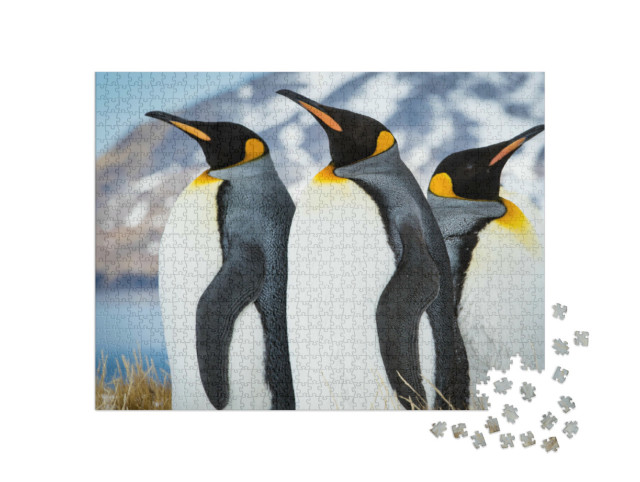 Puzzle 1000 pezzi „Pinguini imperatore sulla Georgia del Sud“