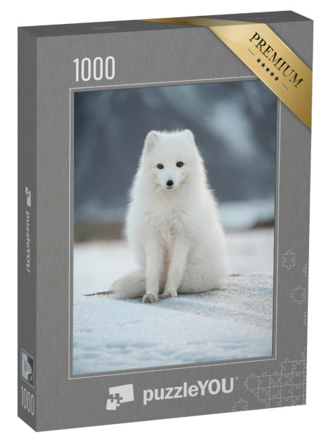Puzzle 1000 pezzi „Volpe artica“