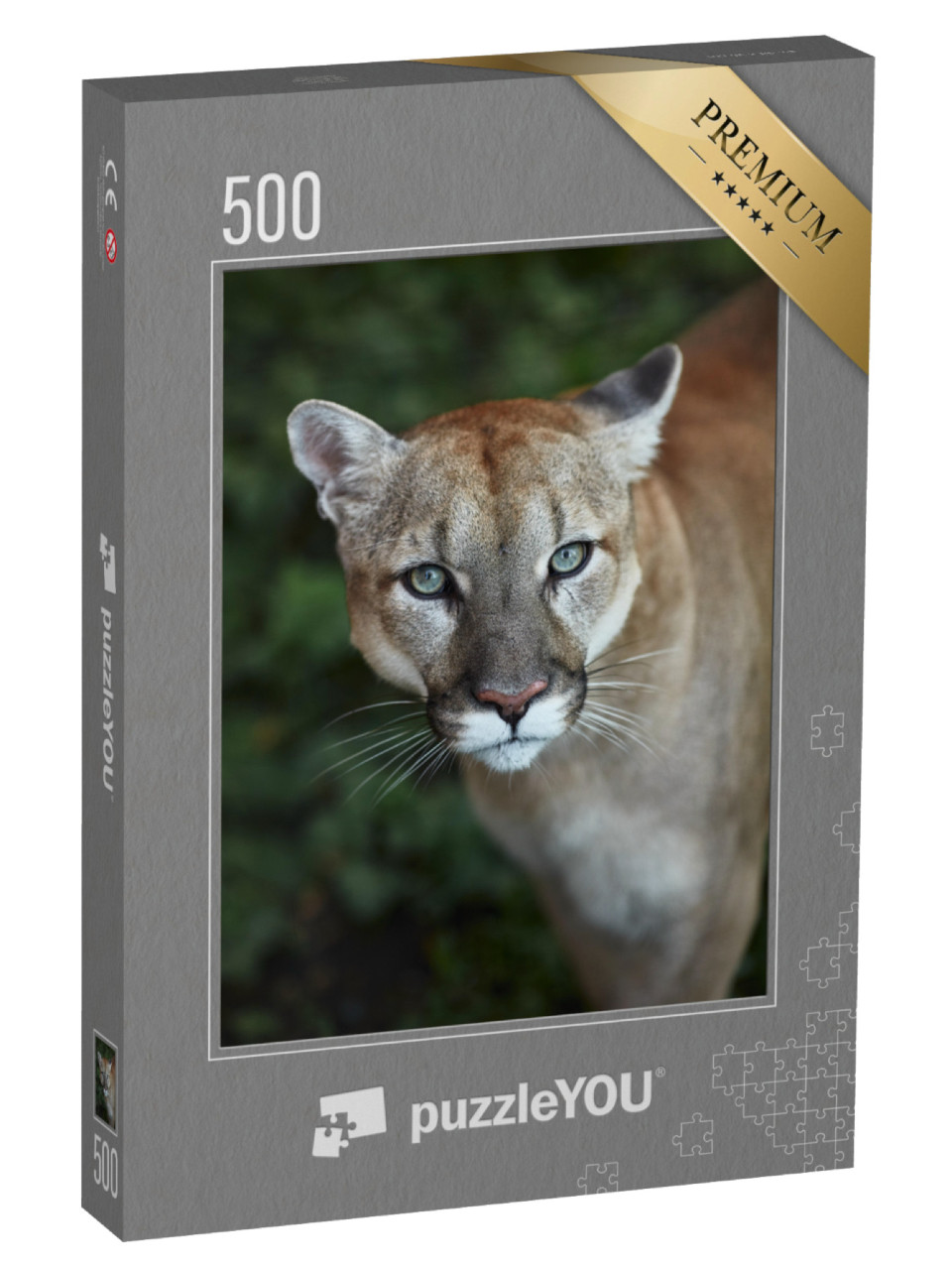 Puzzle 500 pezzi „Occhio a occhio con un puma“