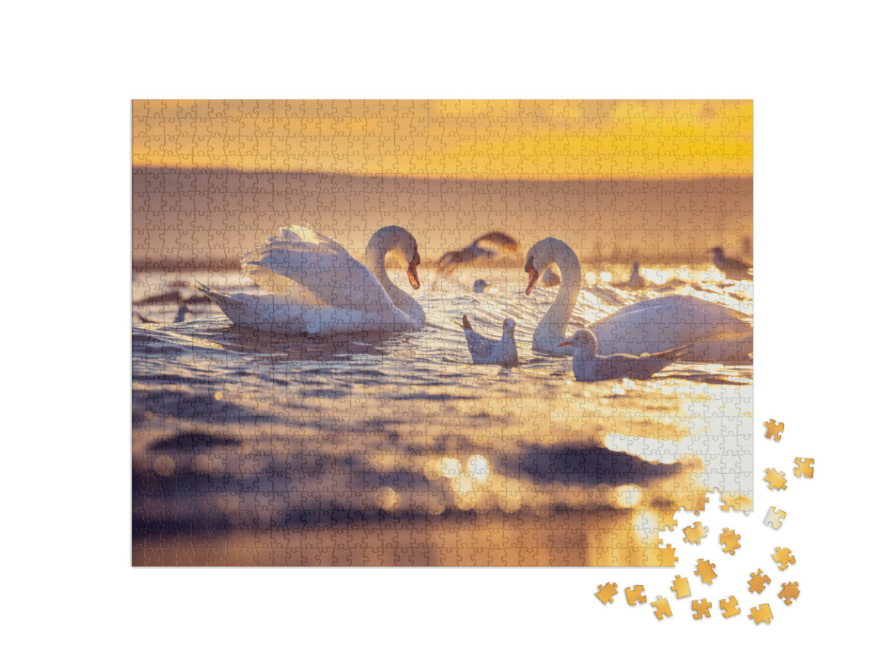 Puzzle 1000 pezzi „Cigni bianchi e gabbiani all'alba“