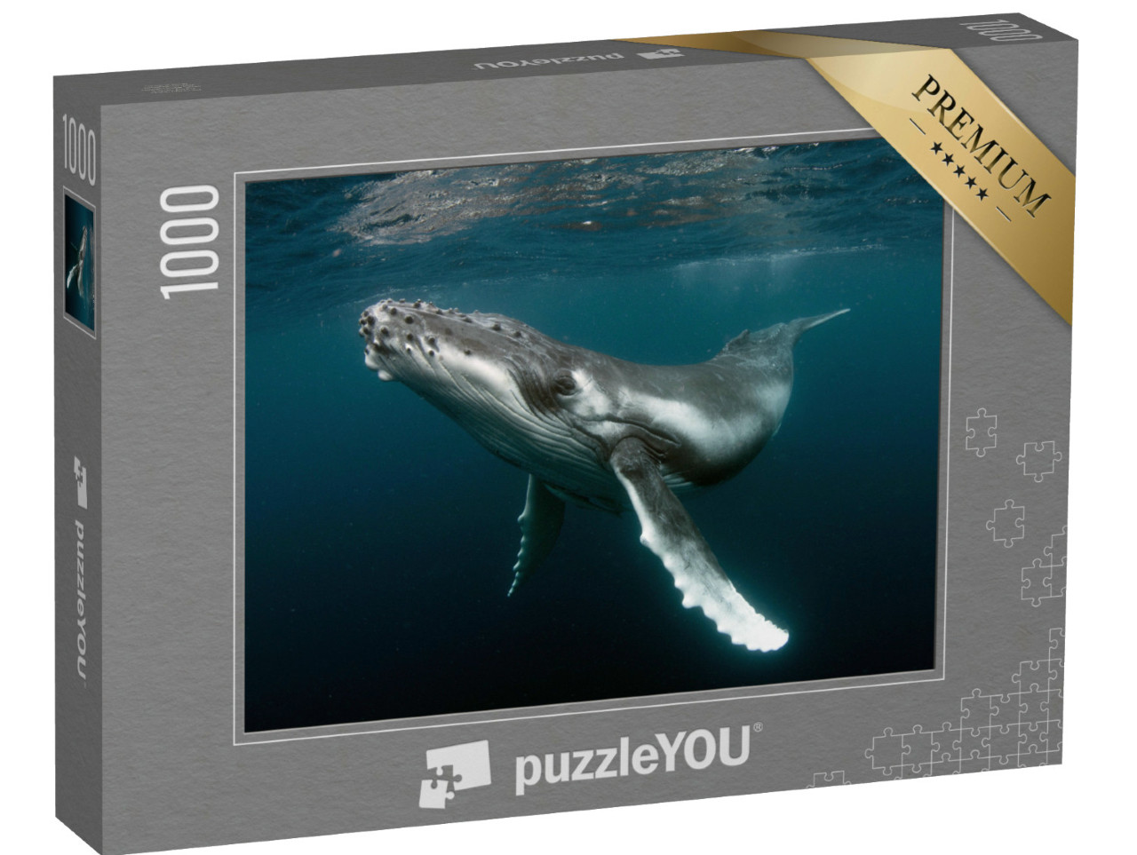 Puzzle 1000 pezzi „Vitello di megattera“
