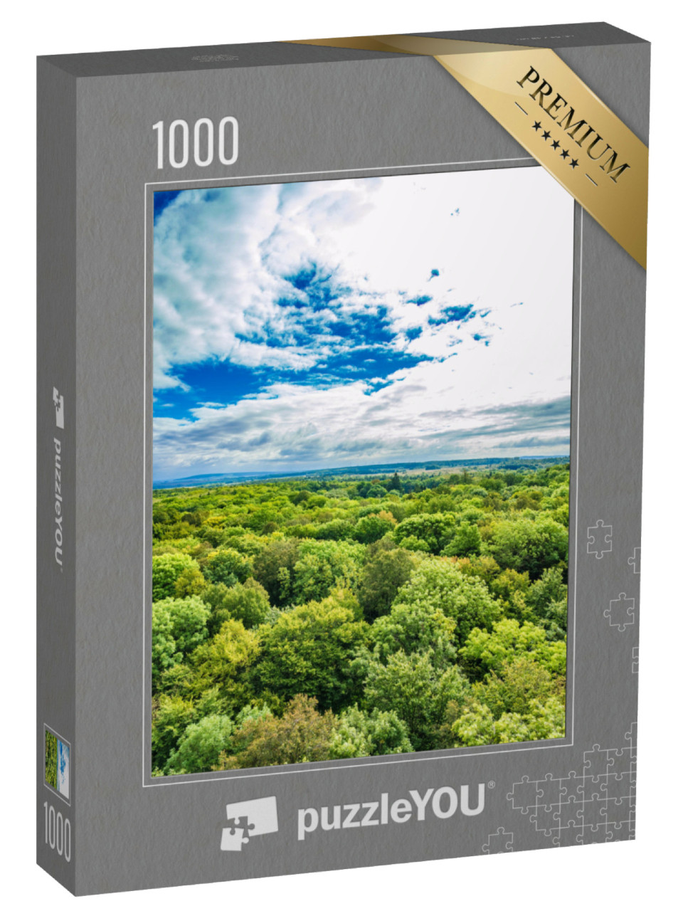 Puzzle 1000 pezzi „Le antiche foreste di faggio del Parco Nazionale di Hainich, Germania“