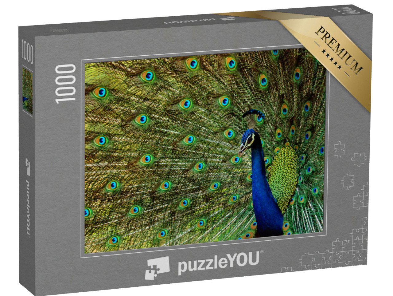 Puzzle 1000 pezzi „Un bellissimo uccello pavone“