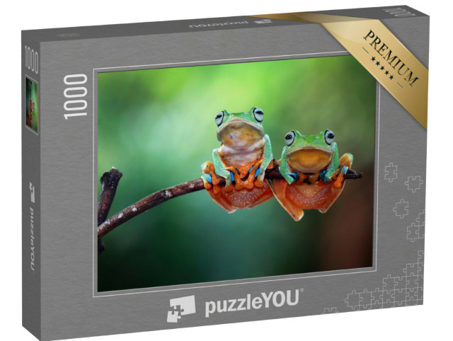 Puzzle 1000 pezzi „Due raganelle su un ramo“