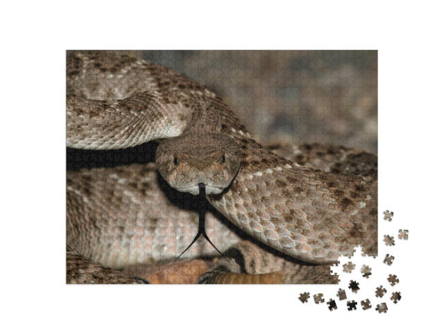Puzzle 1000 pezzi „Serpente a sonagli del Mojave eretto“