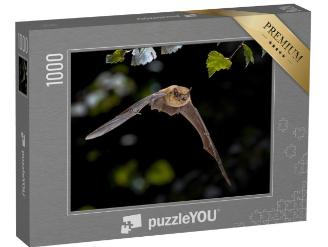 Puzzle 1000 pezzi „Pipistrello in volo“